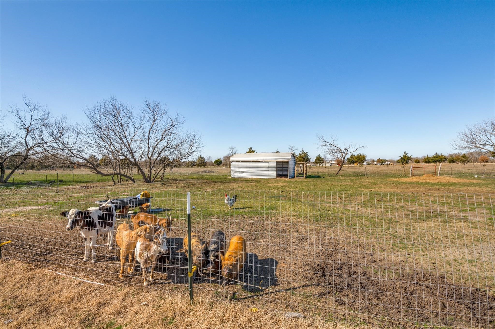 9876 NW County Road 2221