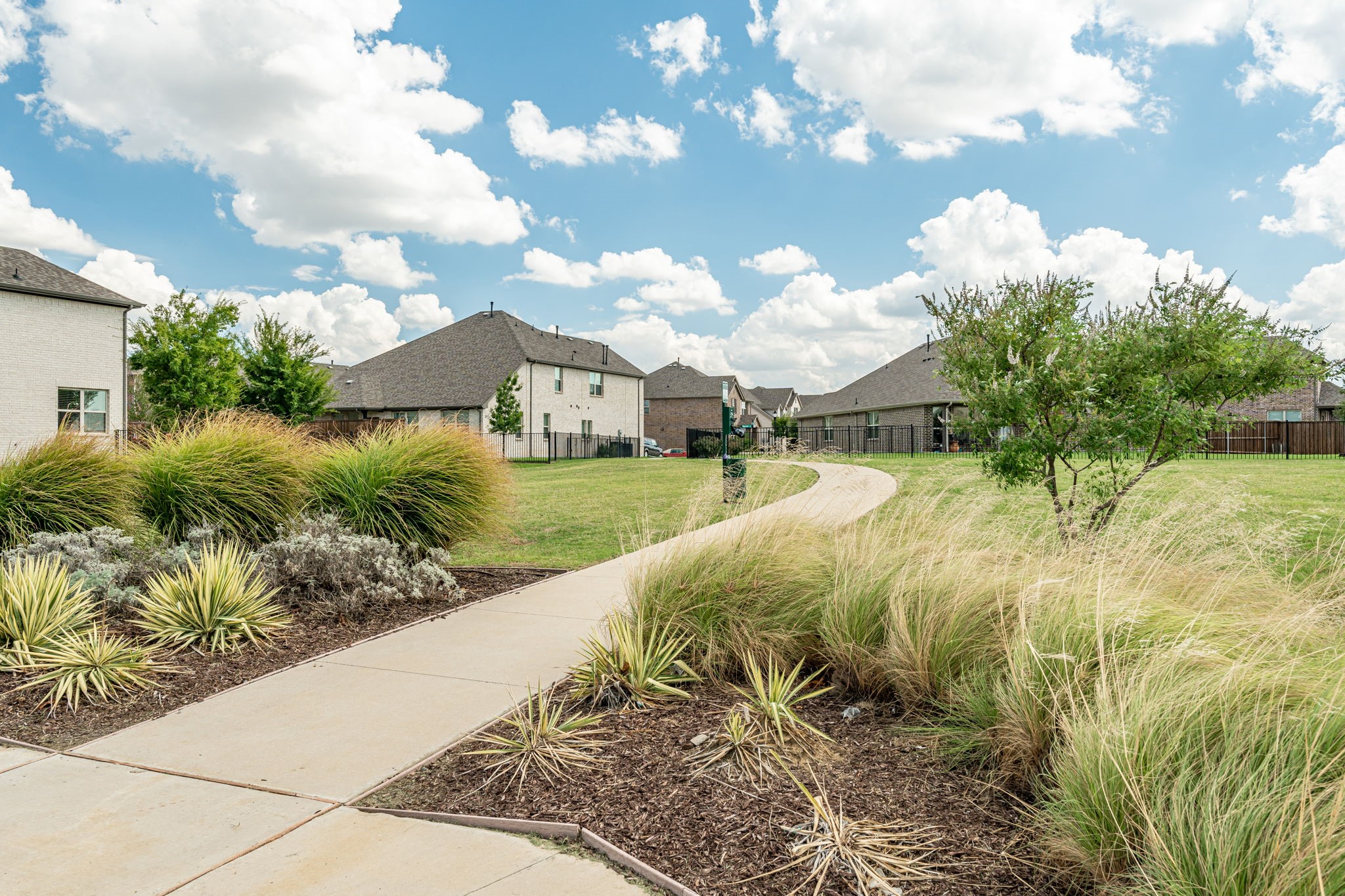 6229 Lassen Court