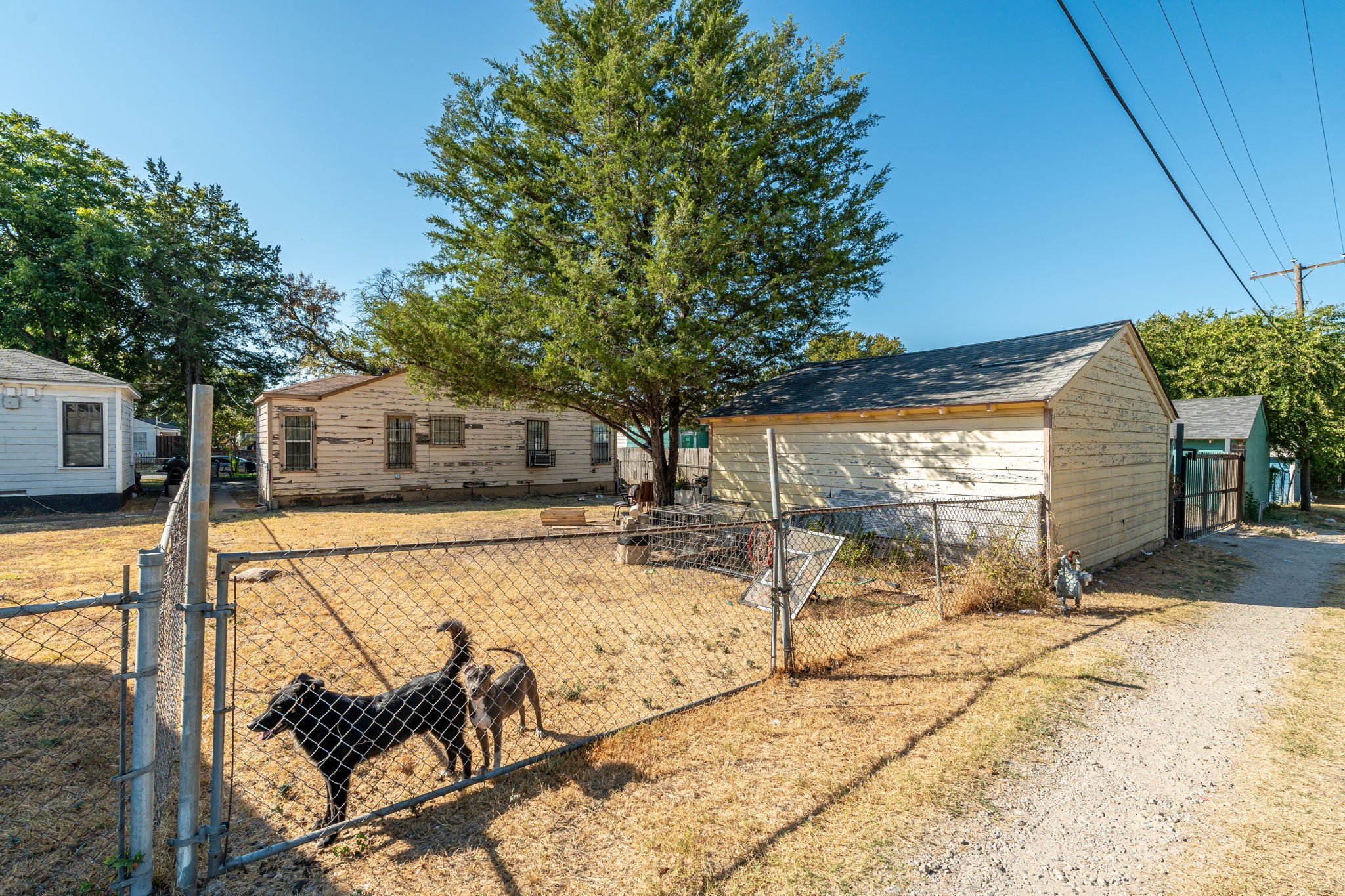 Single-story house and detached garage behind a chain-link fence, with two dogs in the yard.