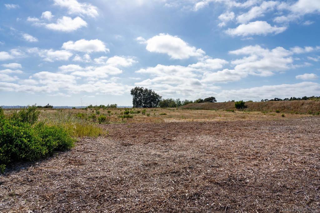 6219 Calle Ponte Bella