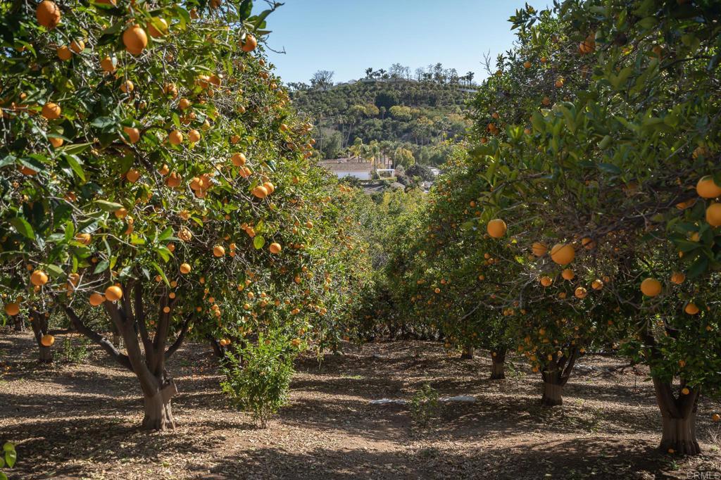 6241 Strada Fragante