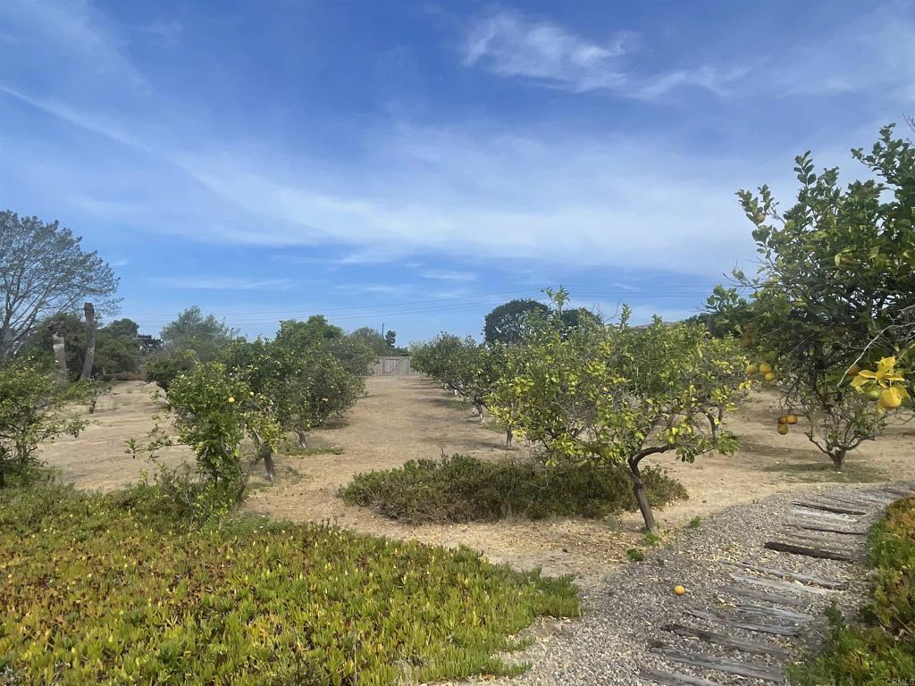 6375 La Valle Plateada