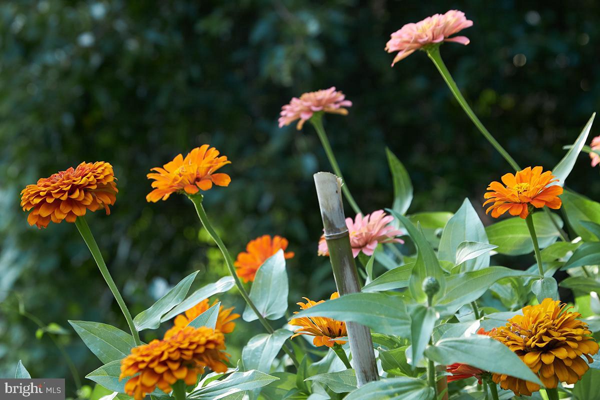 2853 Ontario Rd NW #508