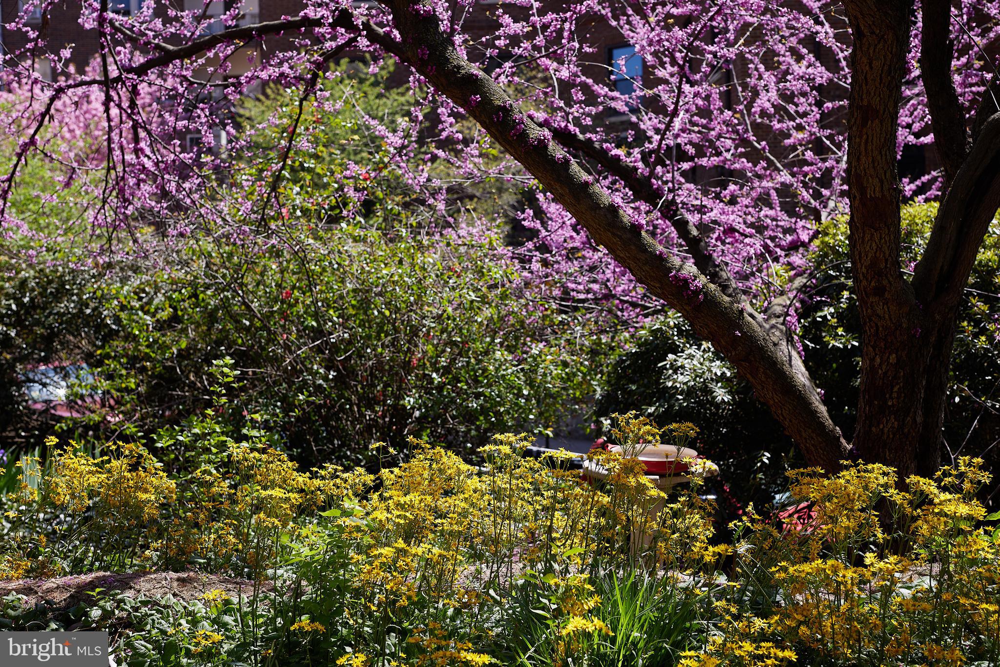 2853 Ontario Rd NW #508