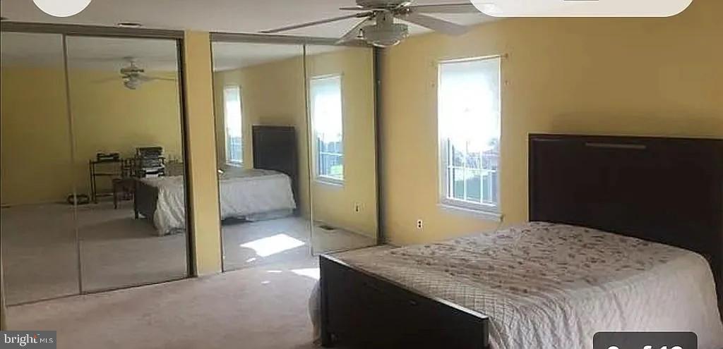 61 E OLEANDER DRIVE