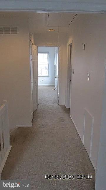 61 E OLEANDER DRIVE