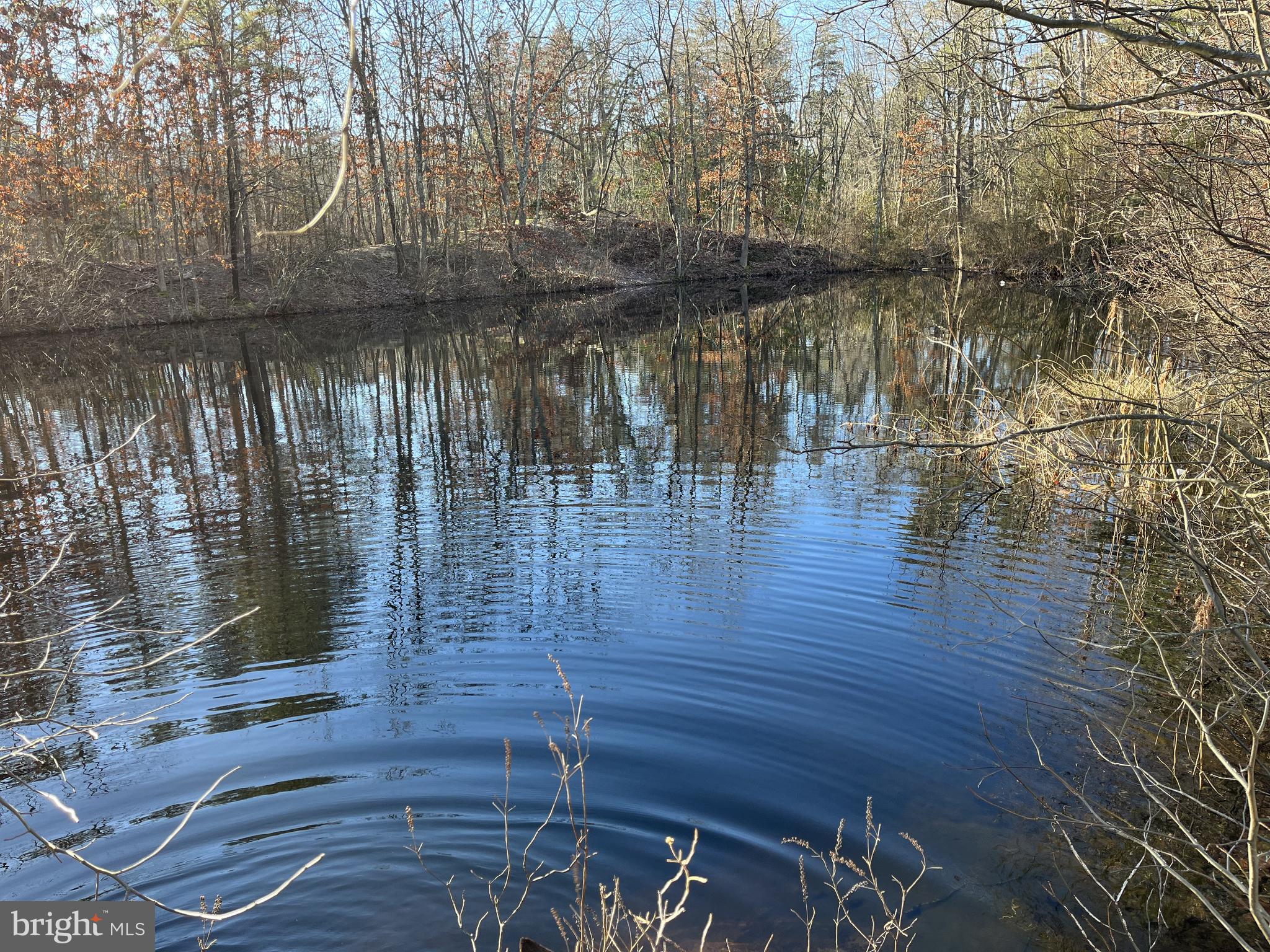 Rt. 206 & FORKED NECK RD