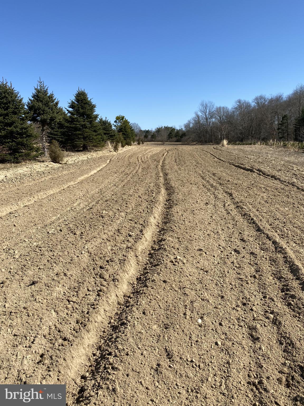 Rt. 206 & FORKED NECK RD