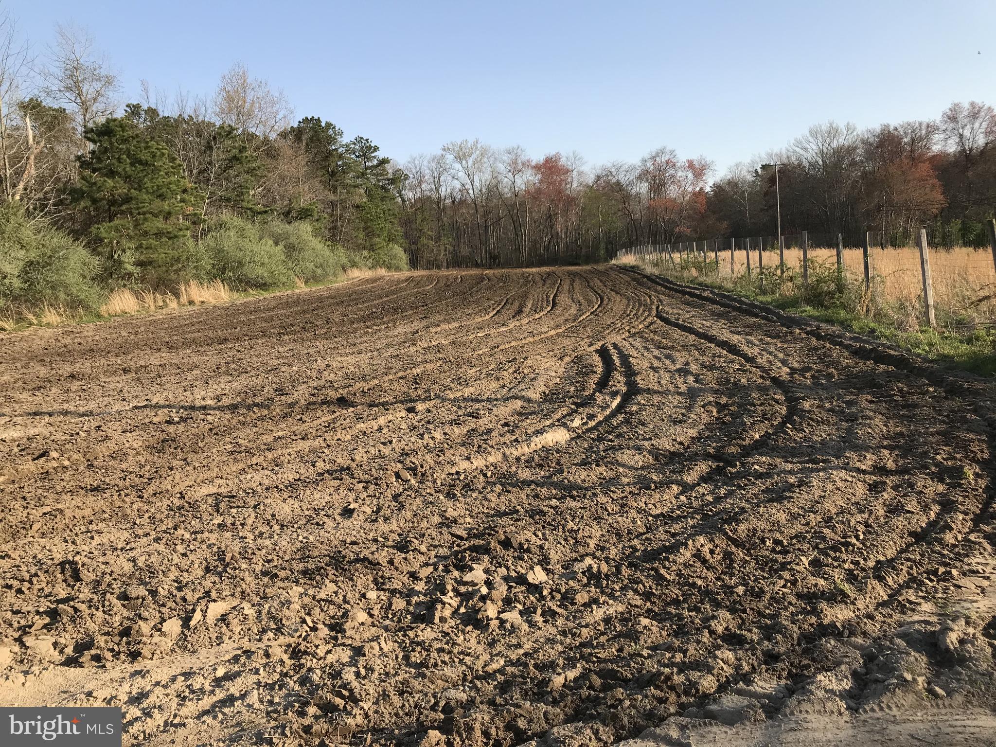 Rt. 206 & FORKED NECK RD