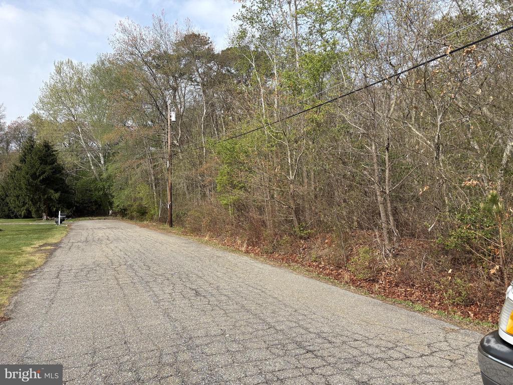 Rt. 206 & FORKED NECK RD