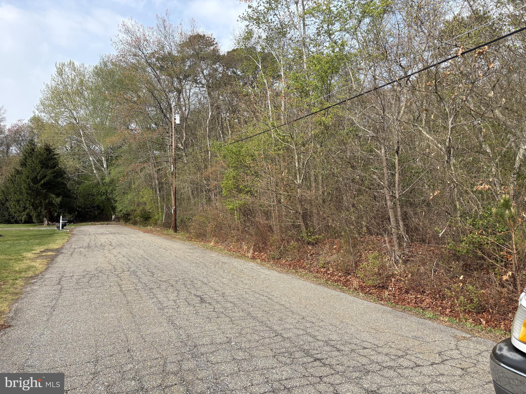Rt. 206 & FORKED NECK RD