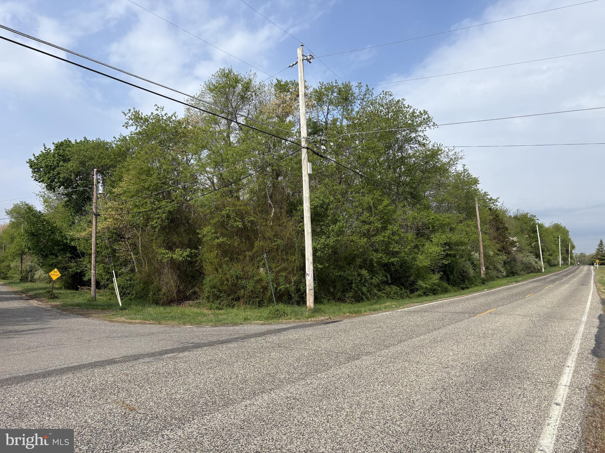 Rt. 206 & FORKED NECK RD