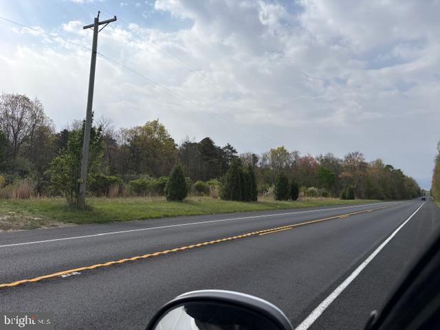 Rt. 206 & FORKED NECK RD
