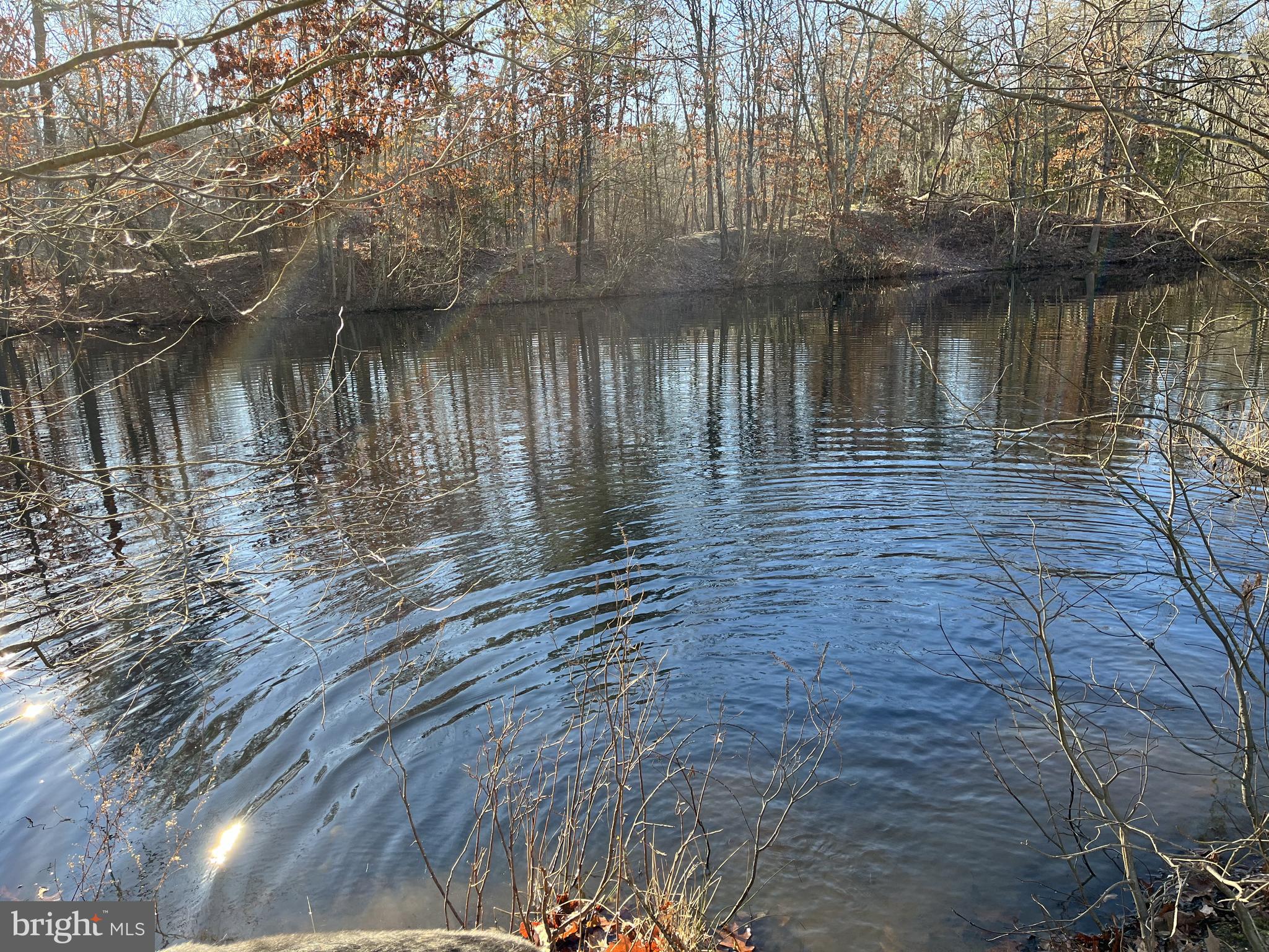 Rt. 206 & FORKED NECK RD