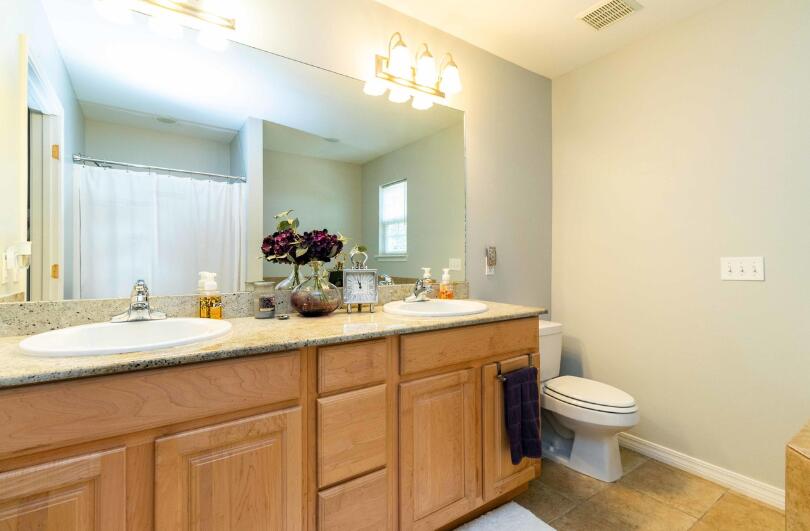 195 Sparkleberry Lane