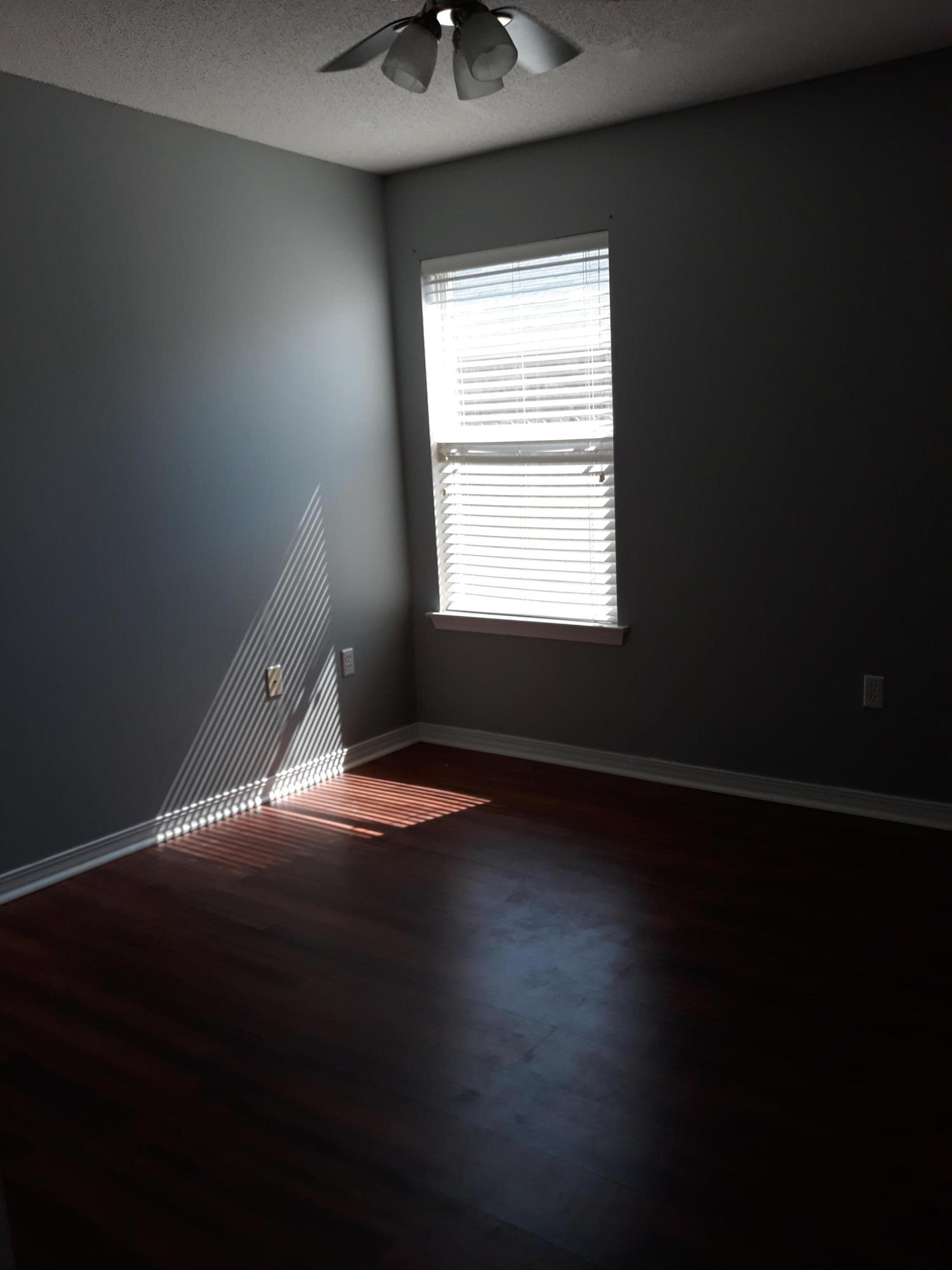 8204 Cosica Boulevard