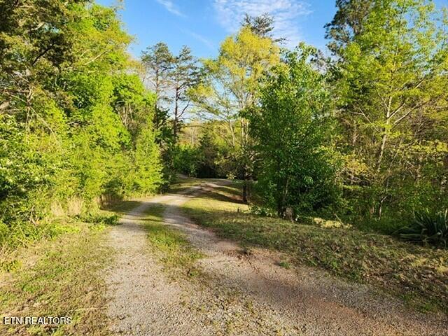 1509 Lundy Rd