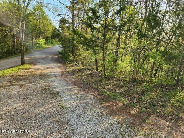 1509 Lundy Rd