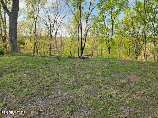1509 Lundy Rd