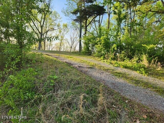1509 Lundy Rd