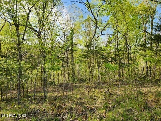 1509 Lundy Rd