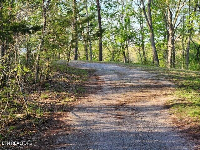 1509 Lundy Rd