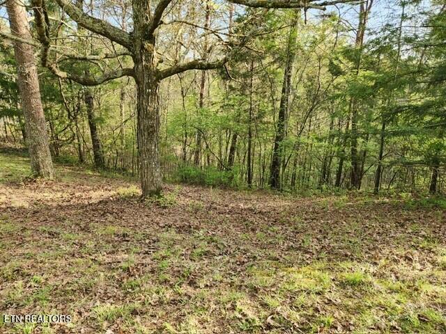 1509 Lundy Rd