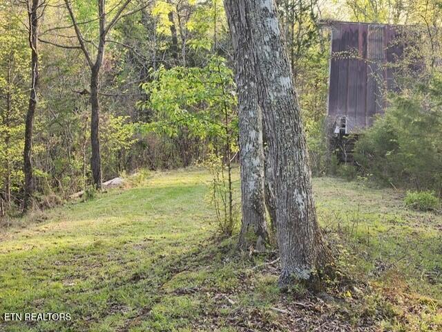 1509 Lundy Rd