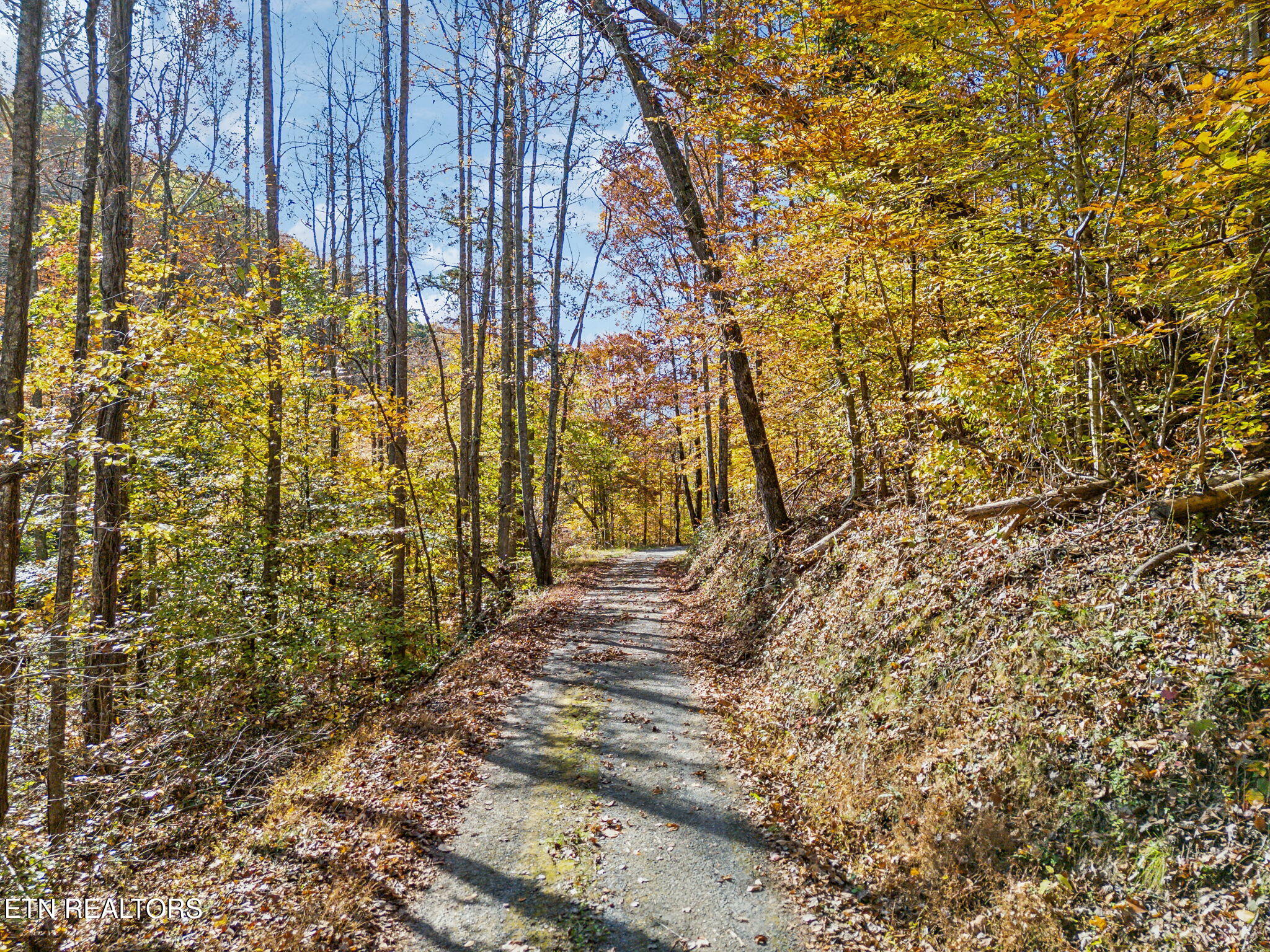 Mooresburg Springs Rd