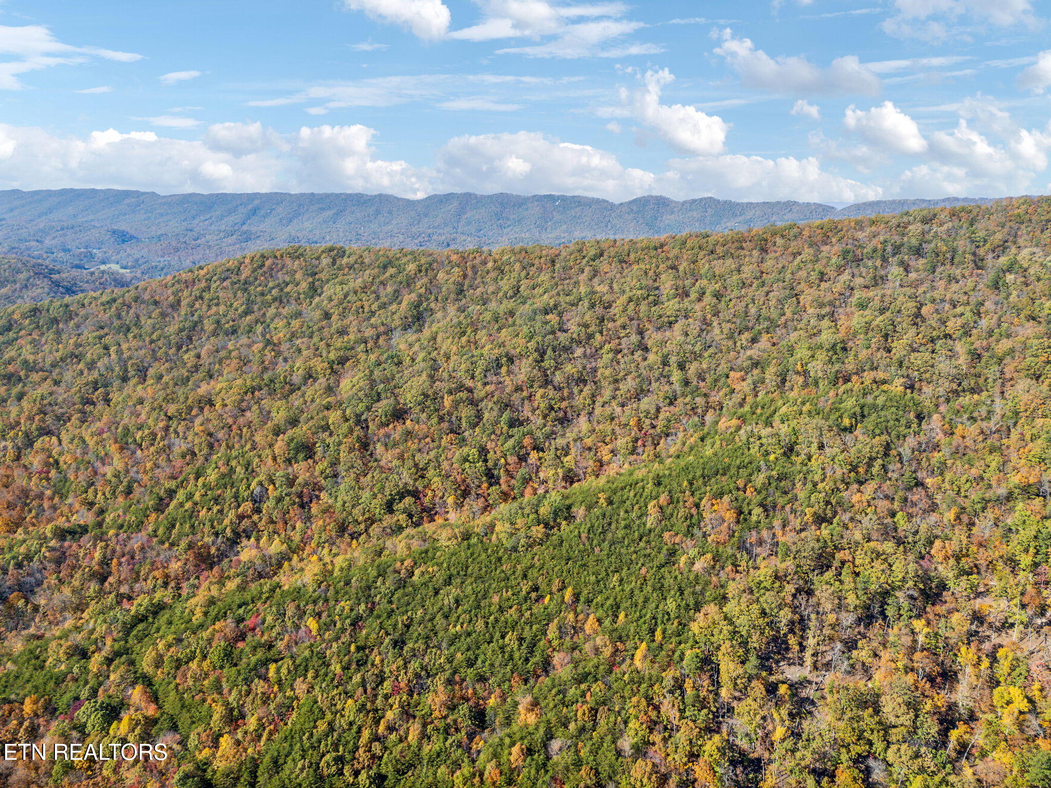 Mooresburg Springs Rd