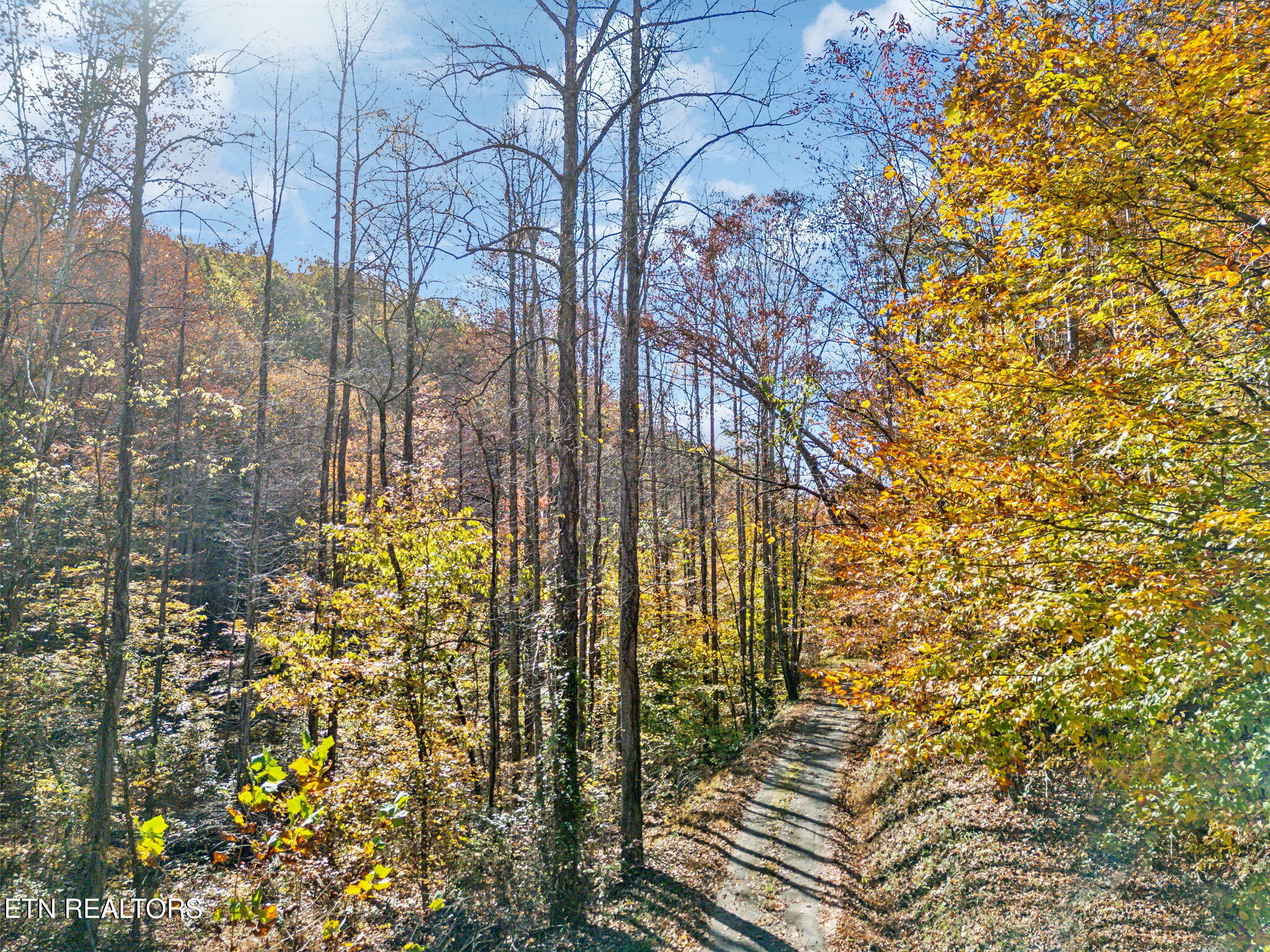 Mooresburg Springs Rd