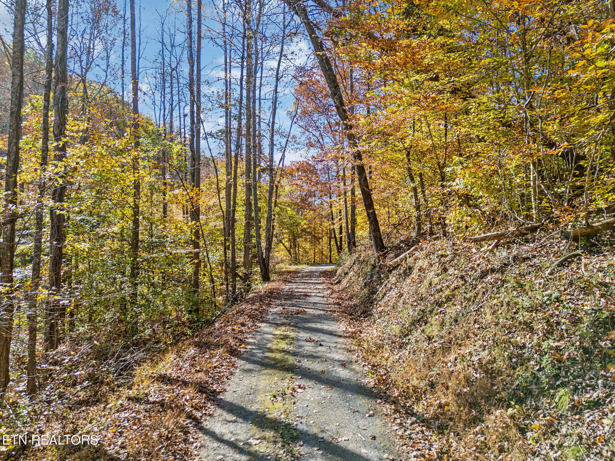 Mooresburg Springs Rd