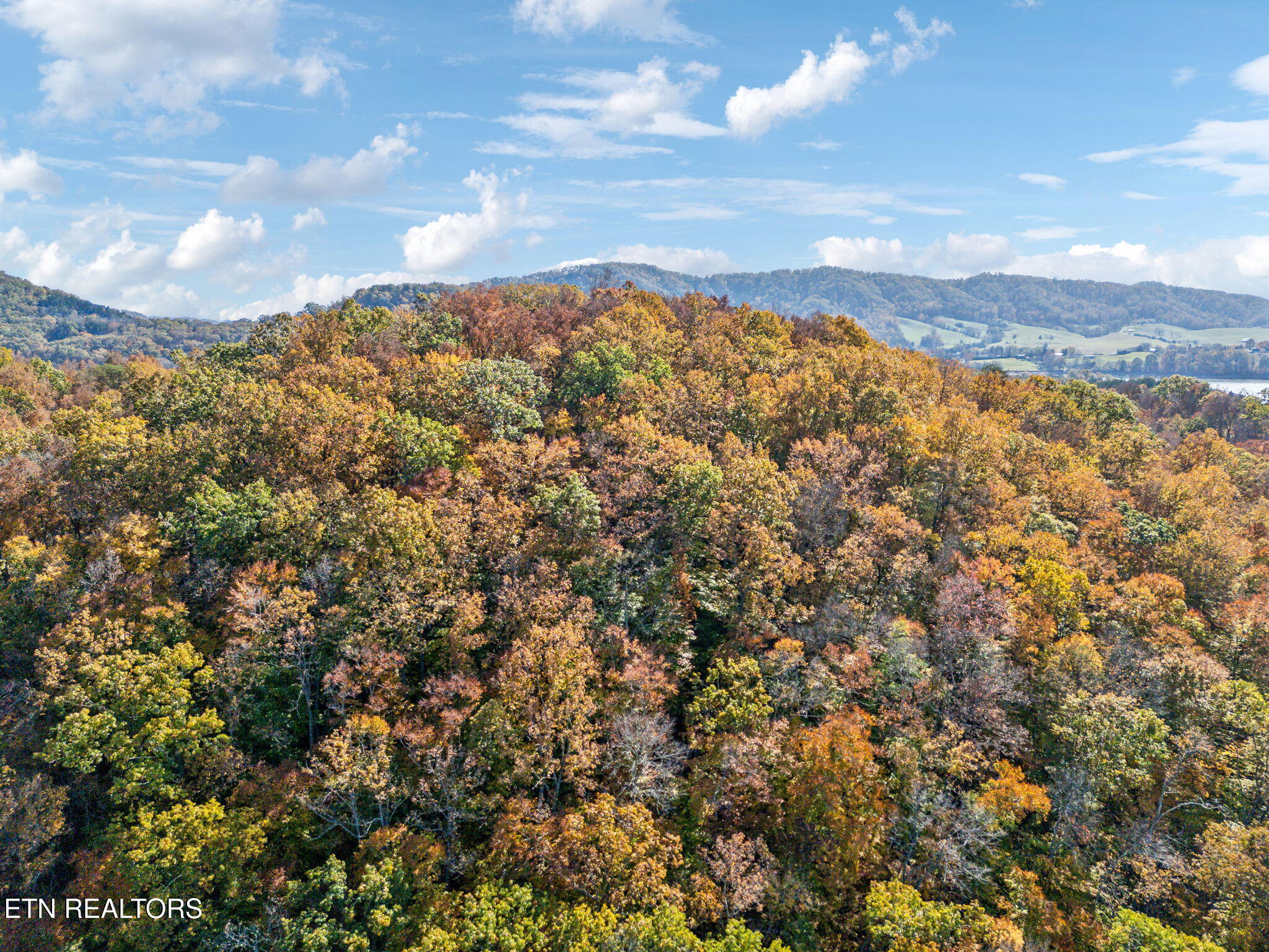 Mooresburg Springs Rd