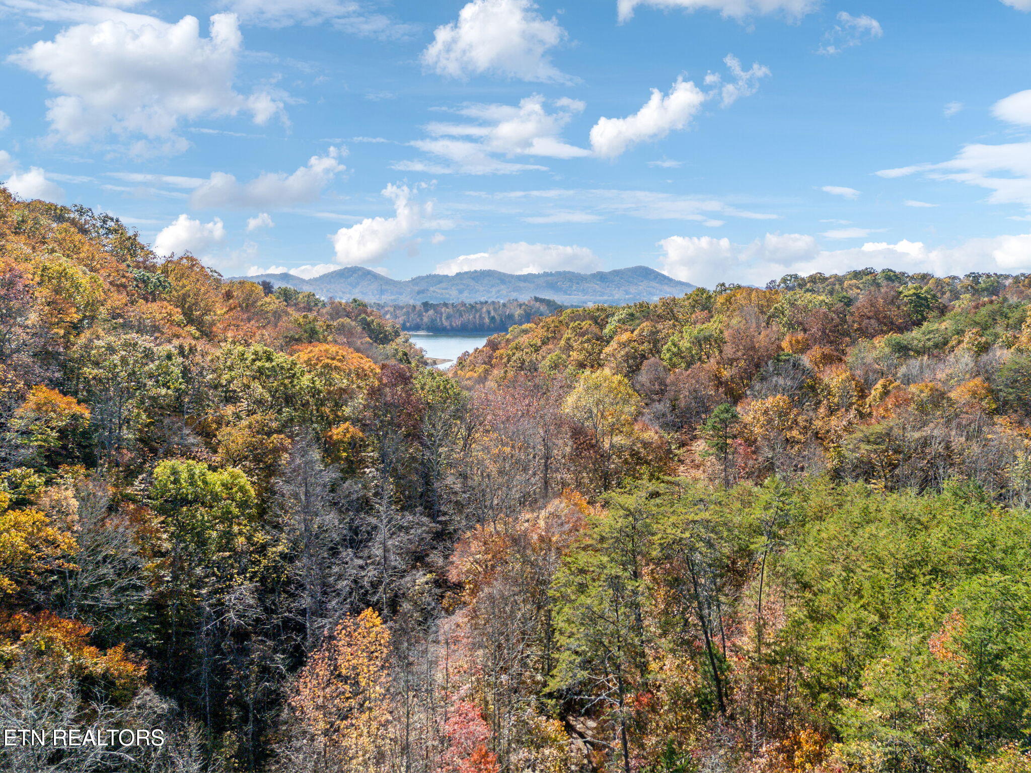 Mooresburg Springs Rd