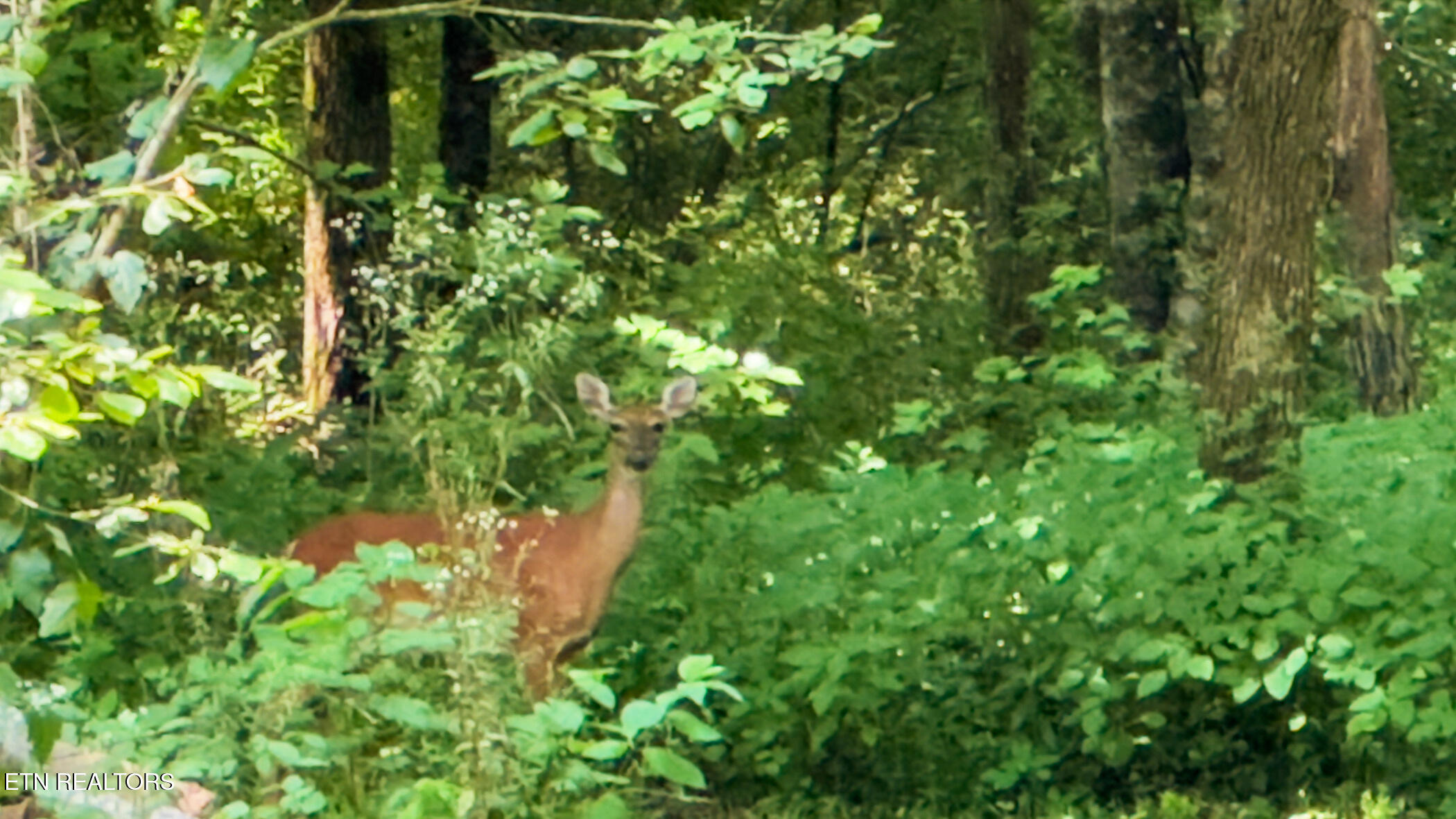 3329 Stinking Creek Rd