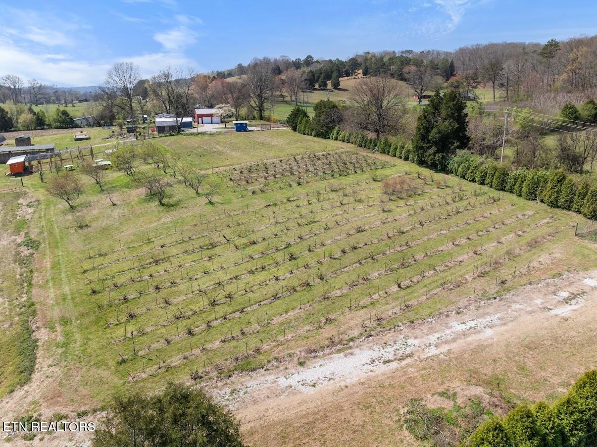 1247 Post Oak Valley Rd
