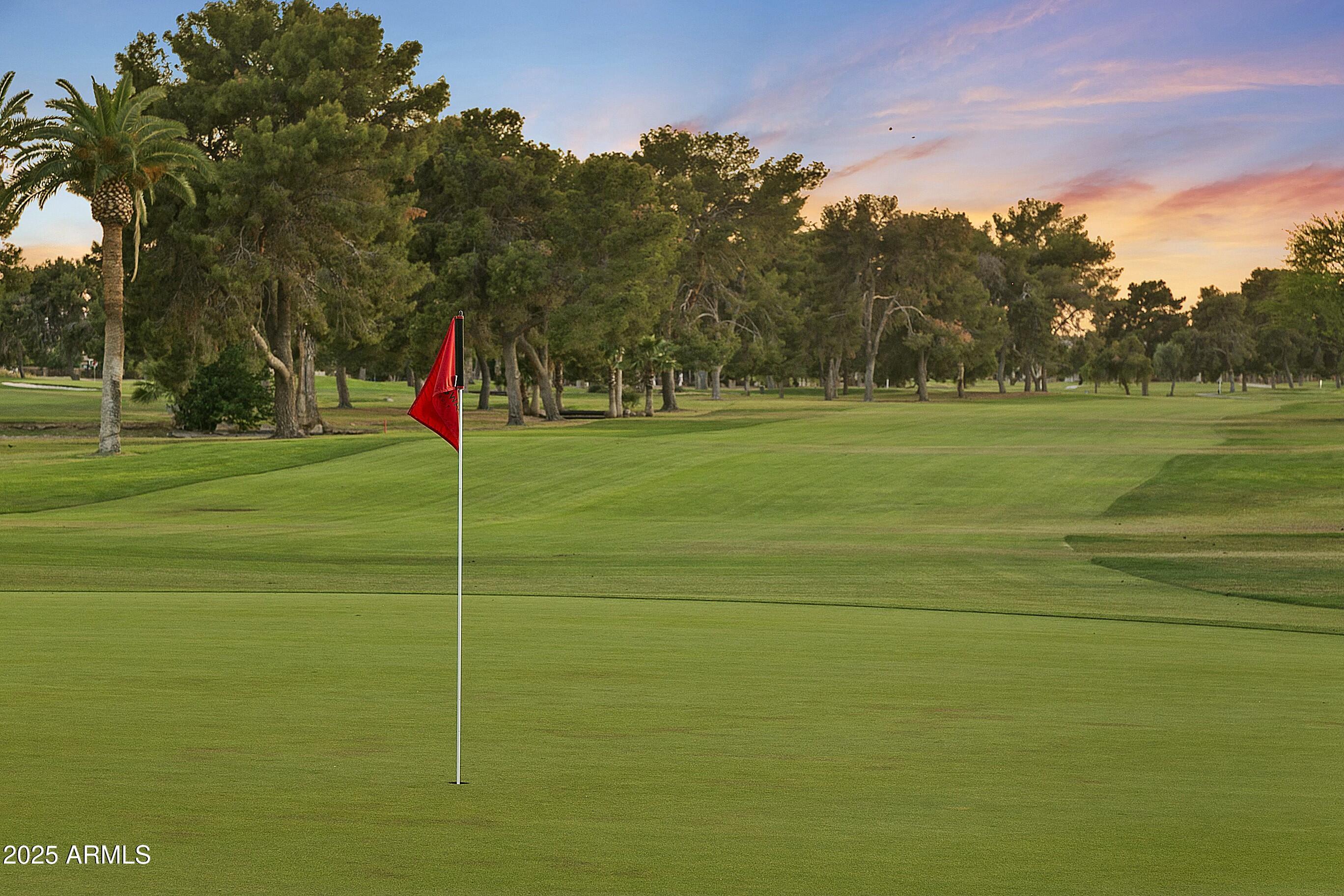 14123 W GREENTREE Drive S