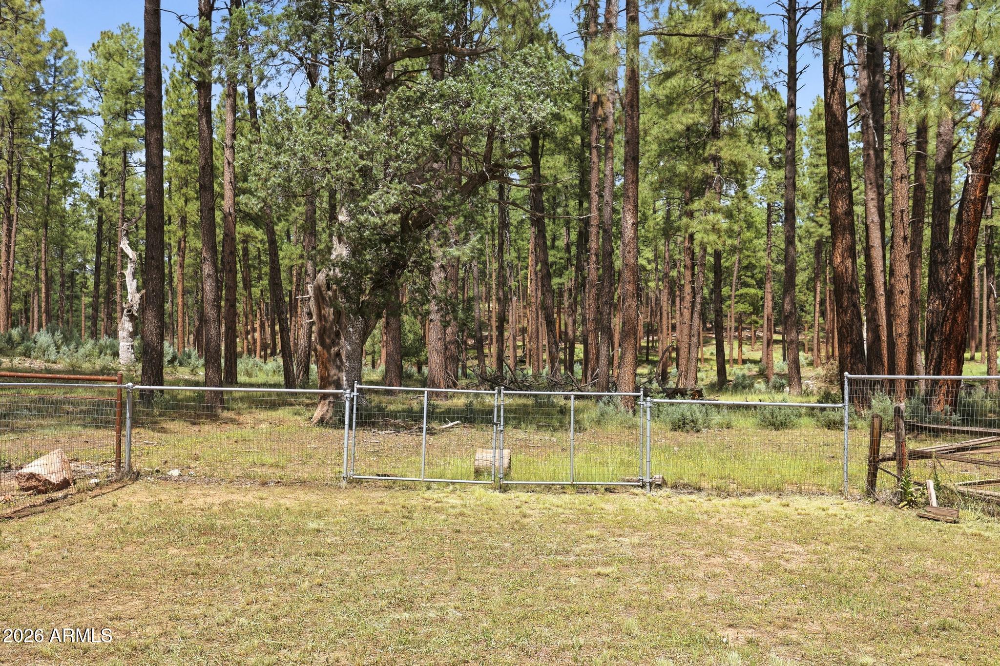 78 N Ponderosa Circle