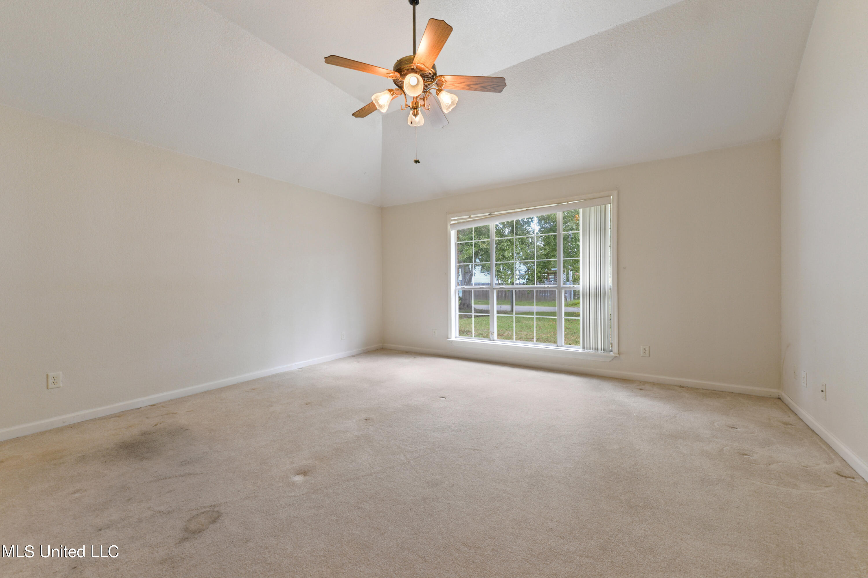 3801 Tangerine Street