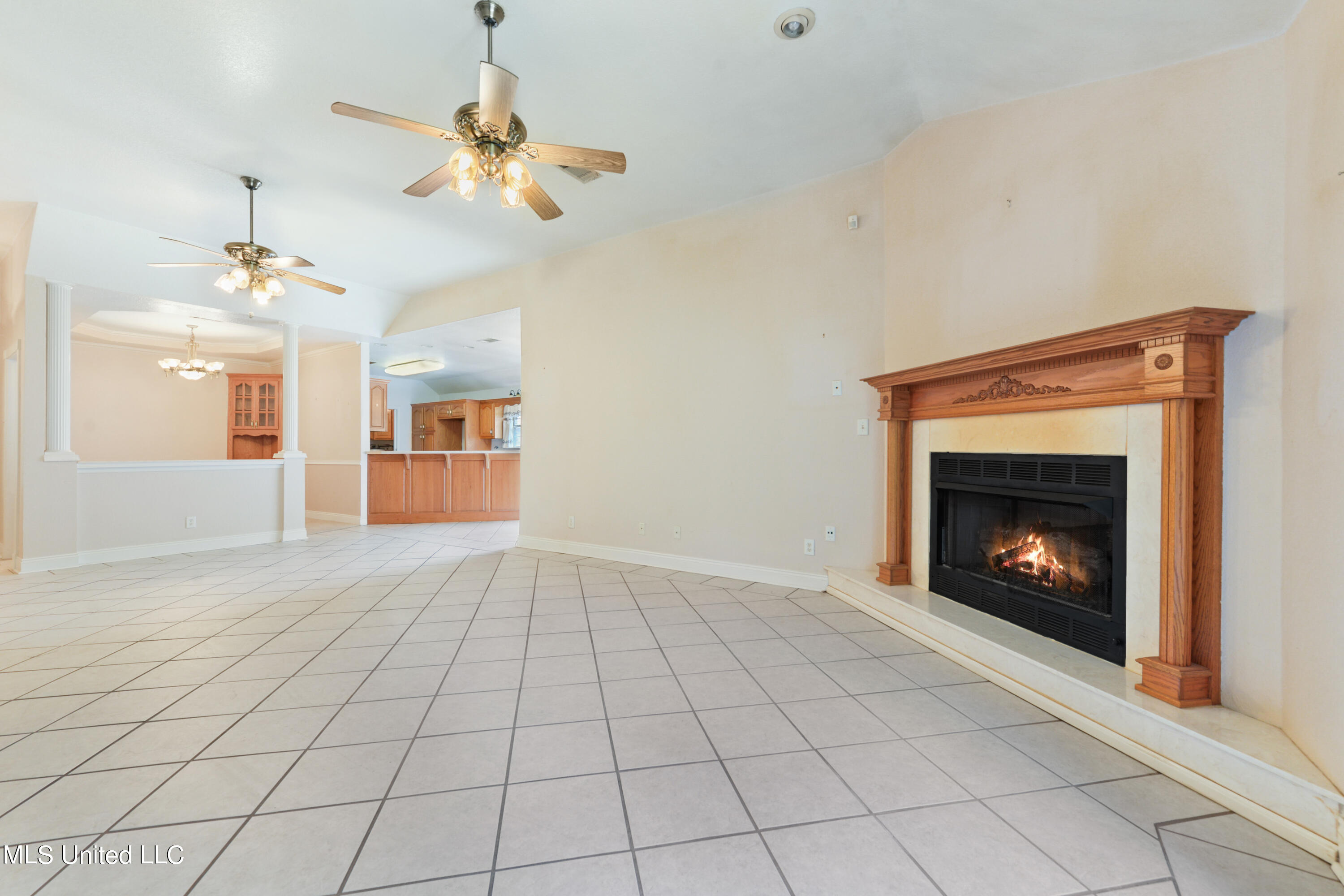 3801 Tangerine Street