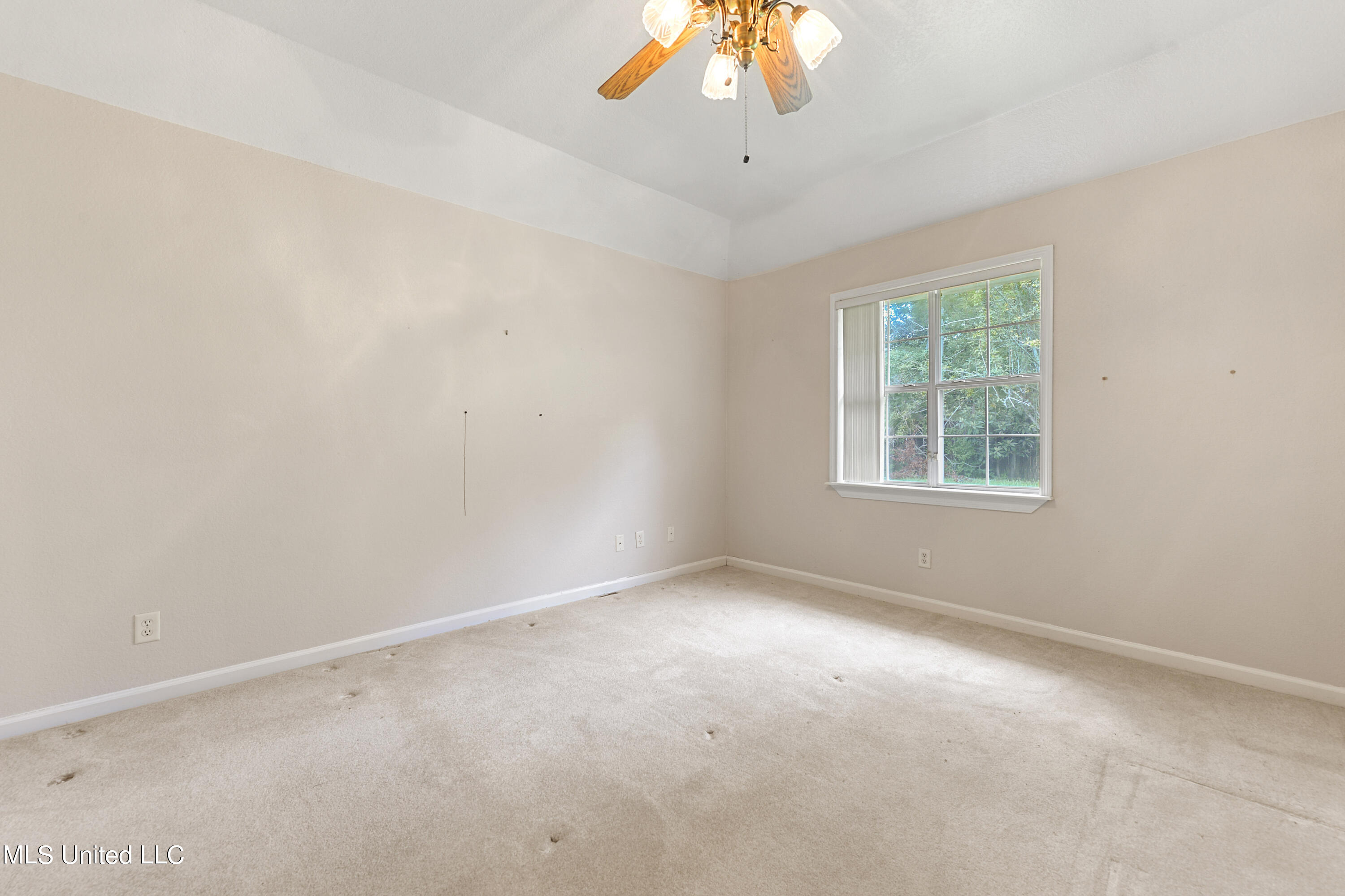 3801 Tangerine Street