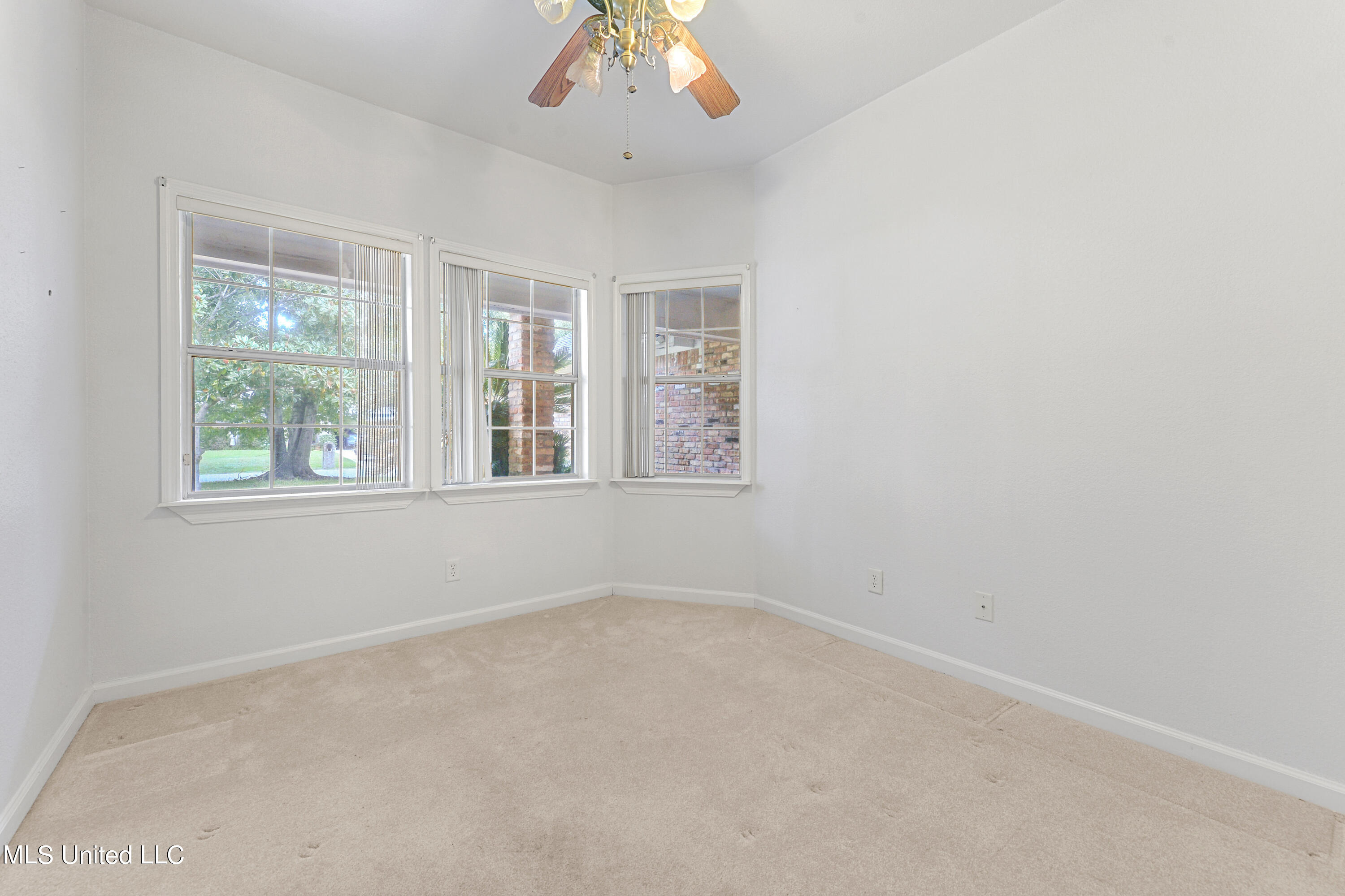 3801 Tangerine Street