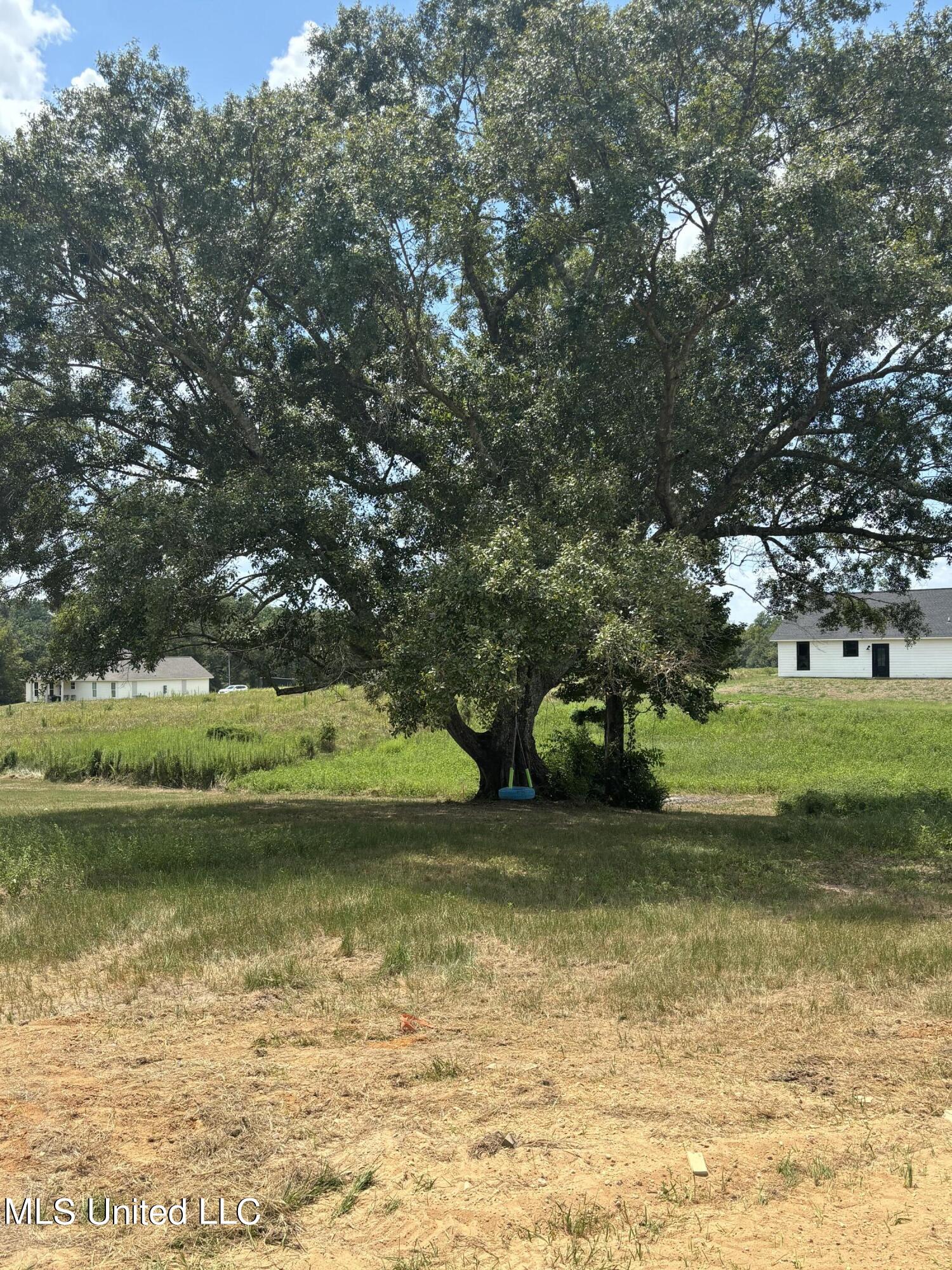 235 Juniper Grove Road