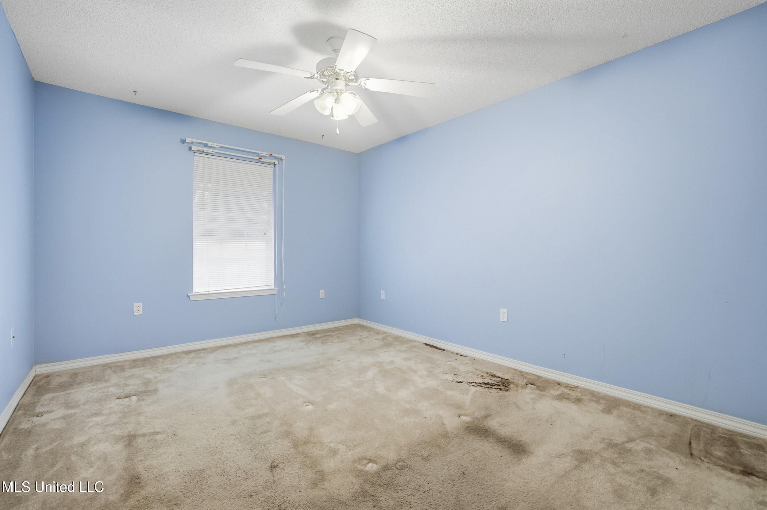 14352 Brettonwood Cove