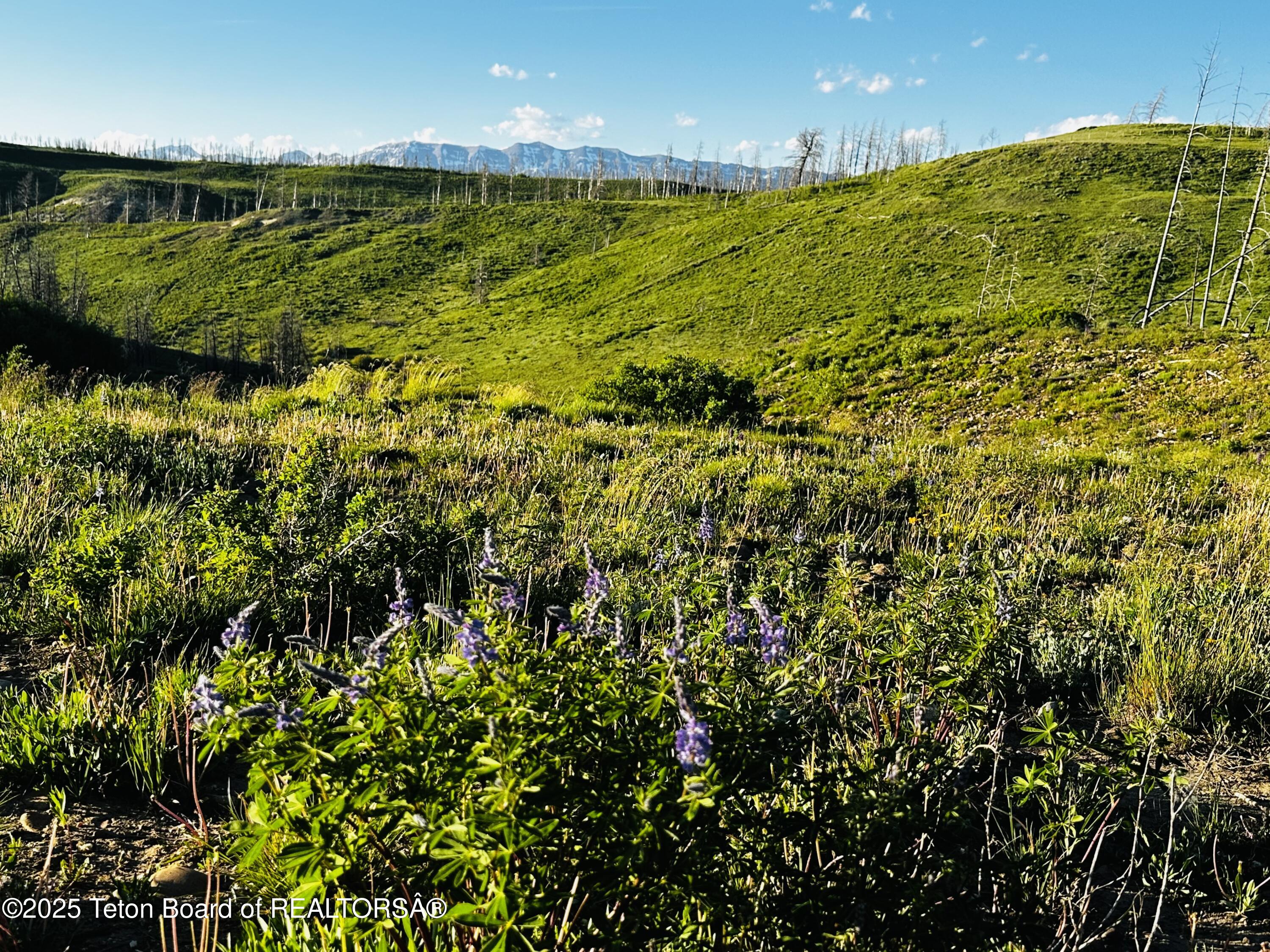 34 GROS VENTRE Drive