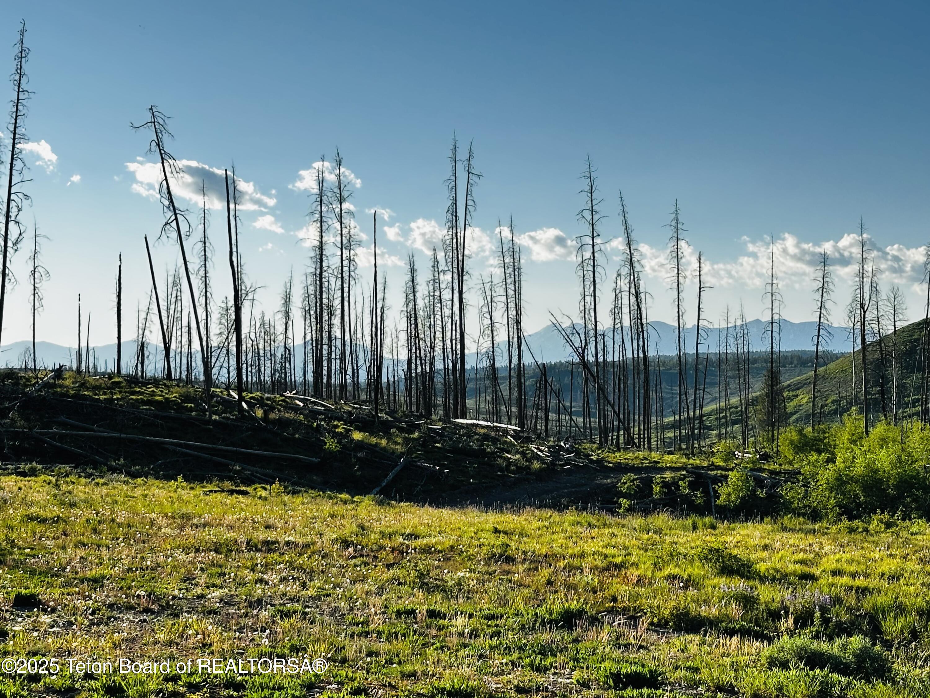 34 GROS VENTRE Drive