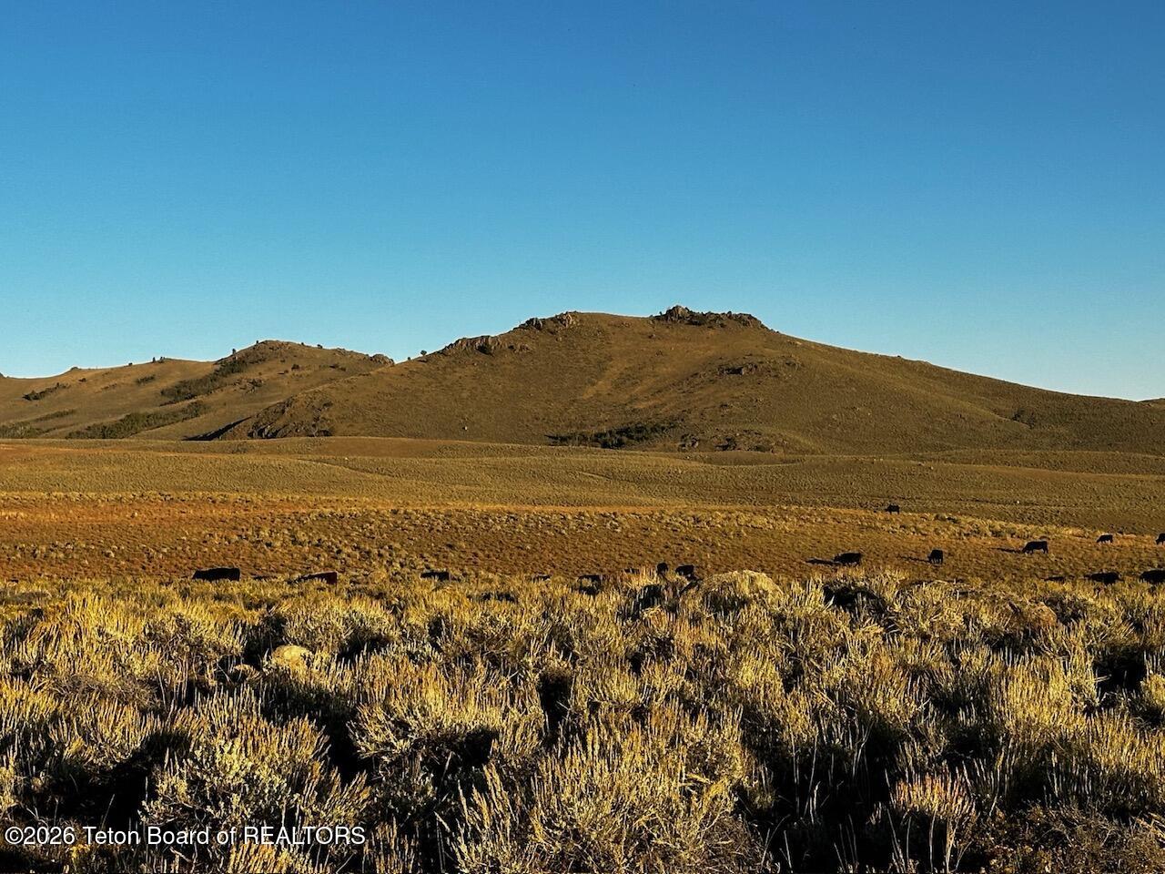 LOT 8 CHIMNEY BUTTE Road