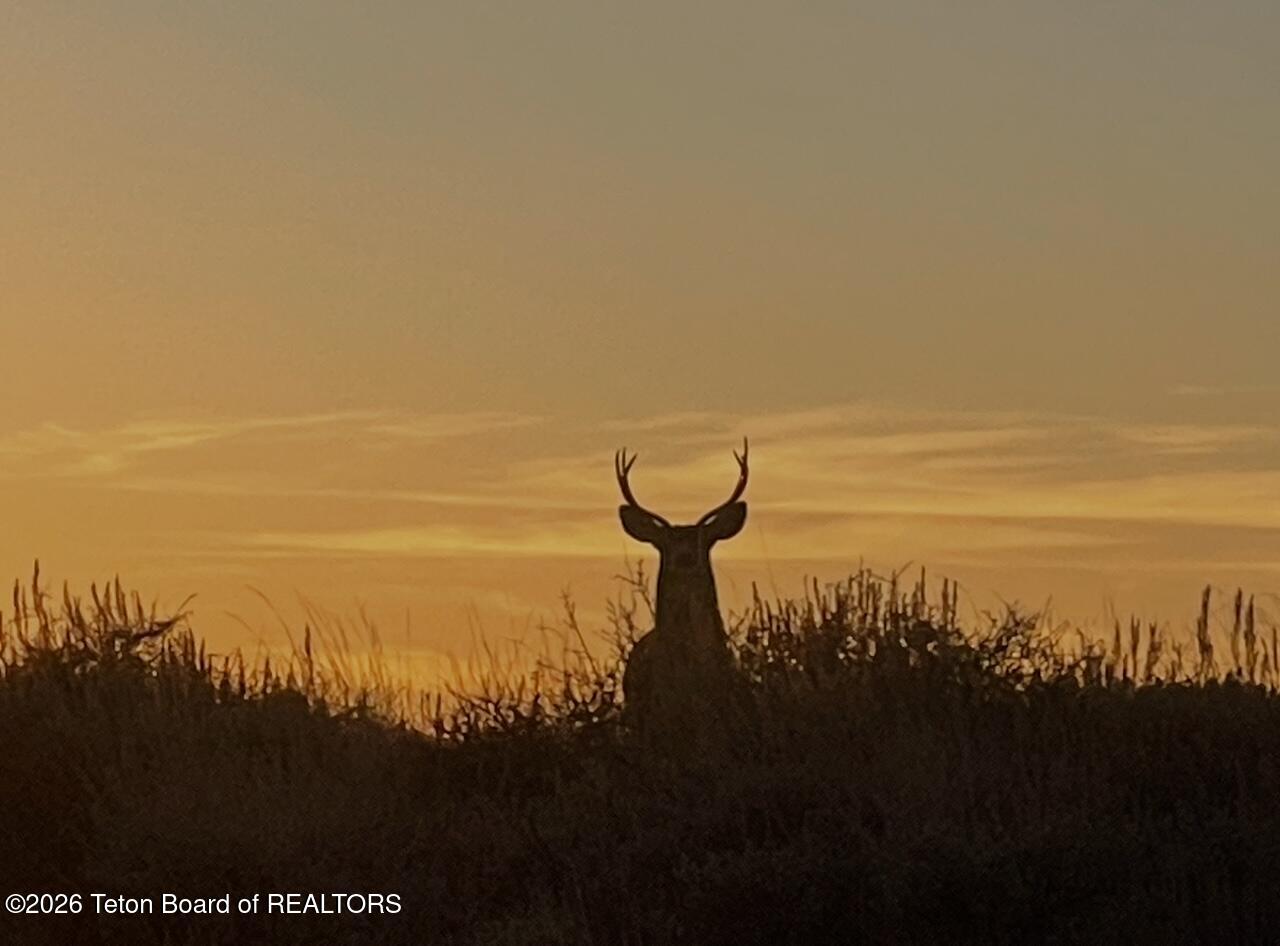 LOT 8 CHIMNEY BUTTE Road