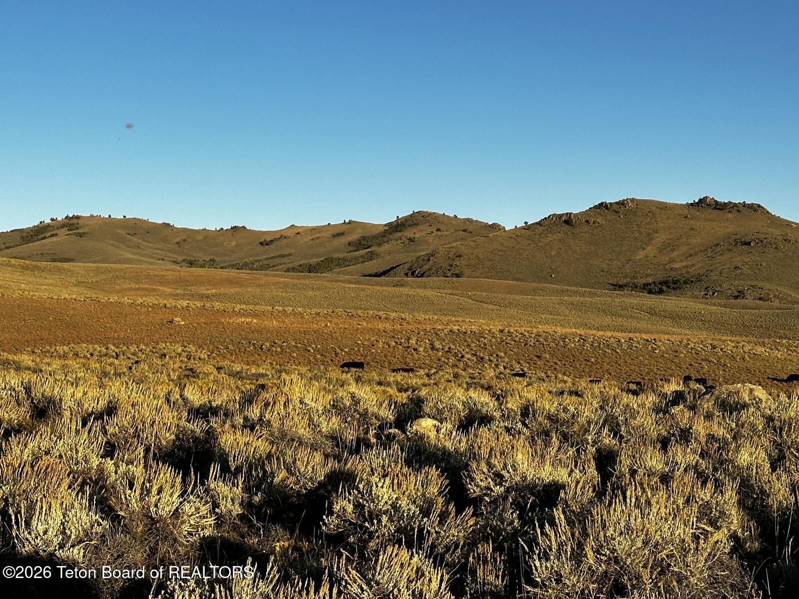 LOT 8 CHIMNEY BUTTE Road