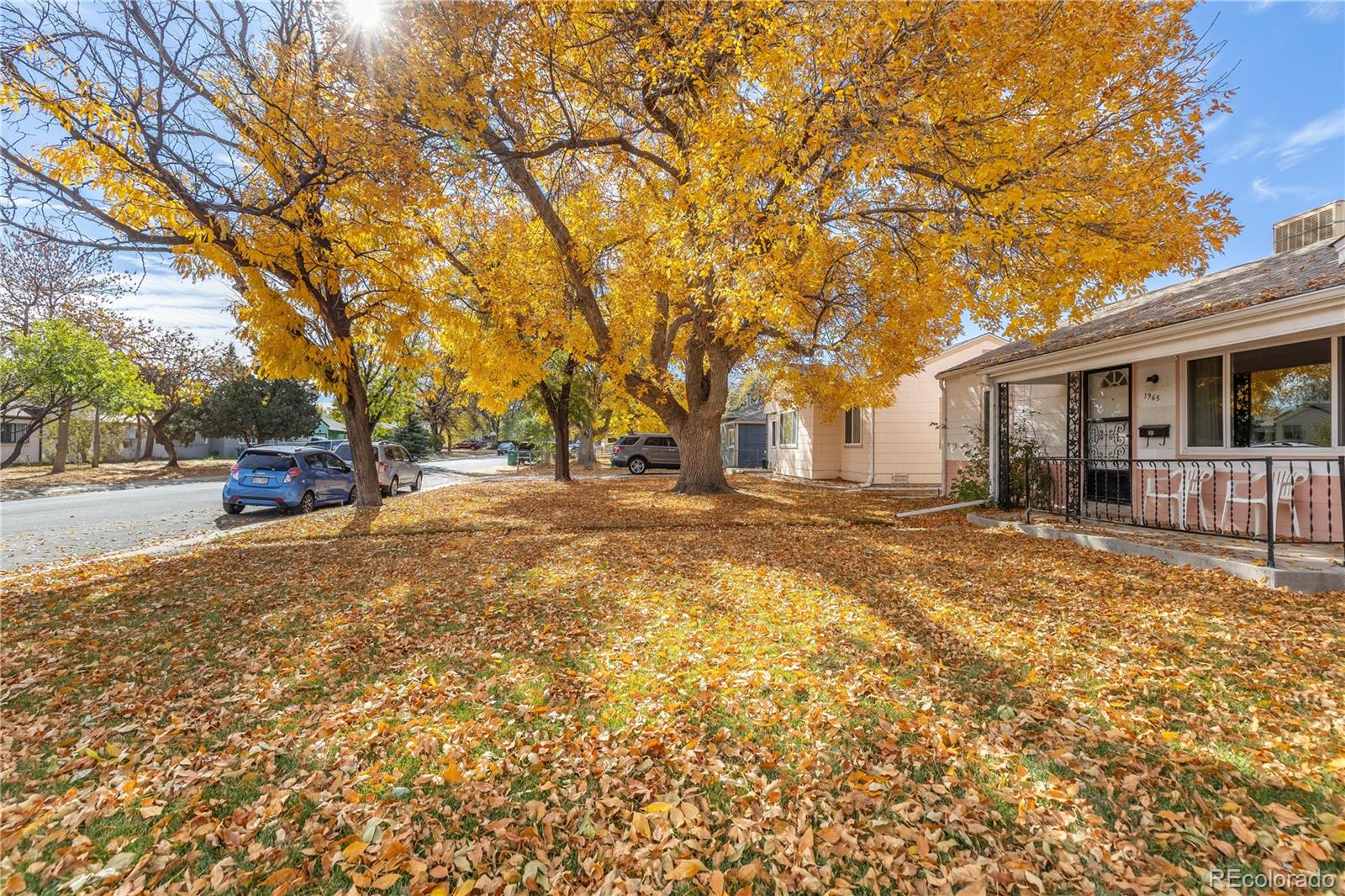 1965 Iola Street